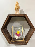 Load image into Gallery viewer, Real Pressed Flower Frame - Beautiful Flower Art
