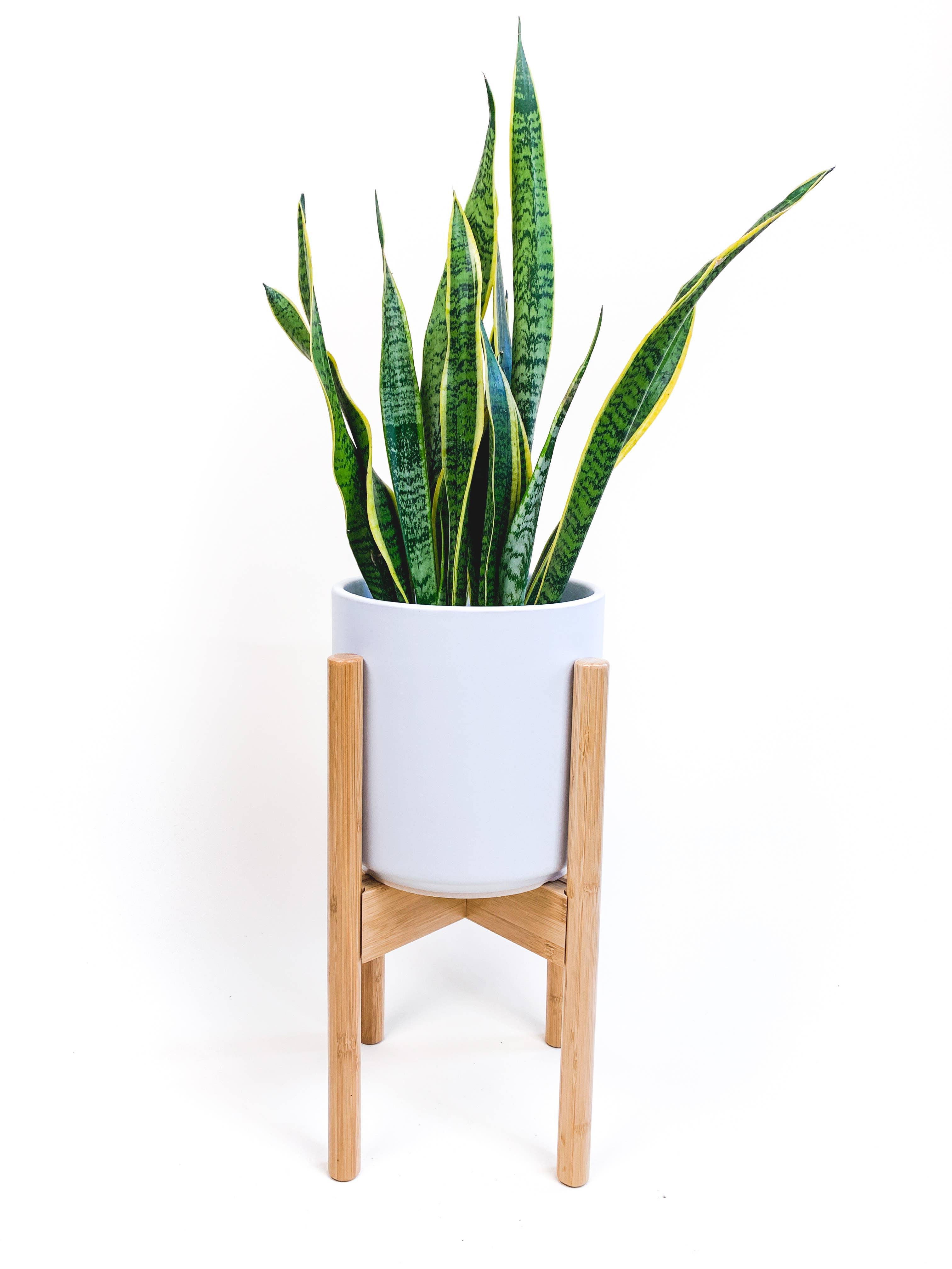 Plant Stand  - Mid Level - Adjustable - Natural Bamboo