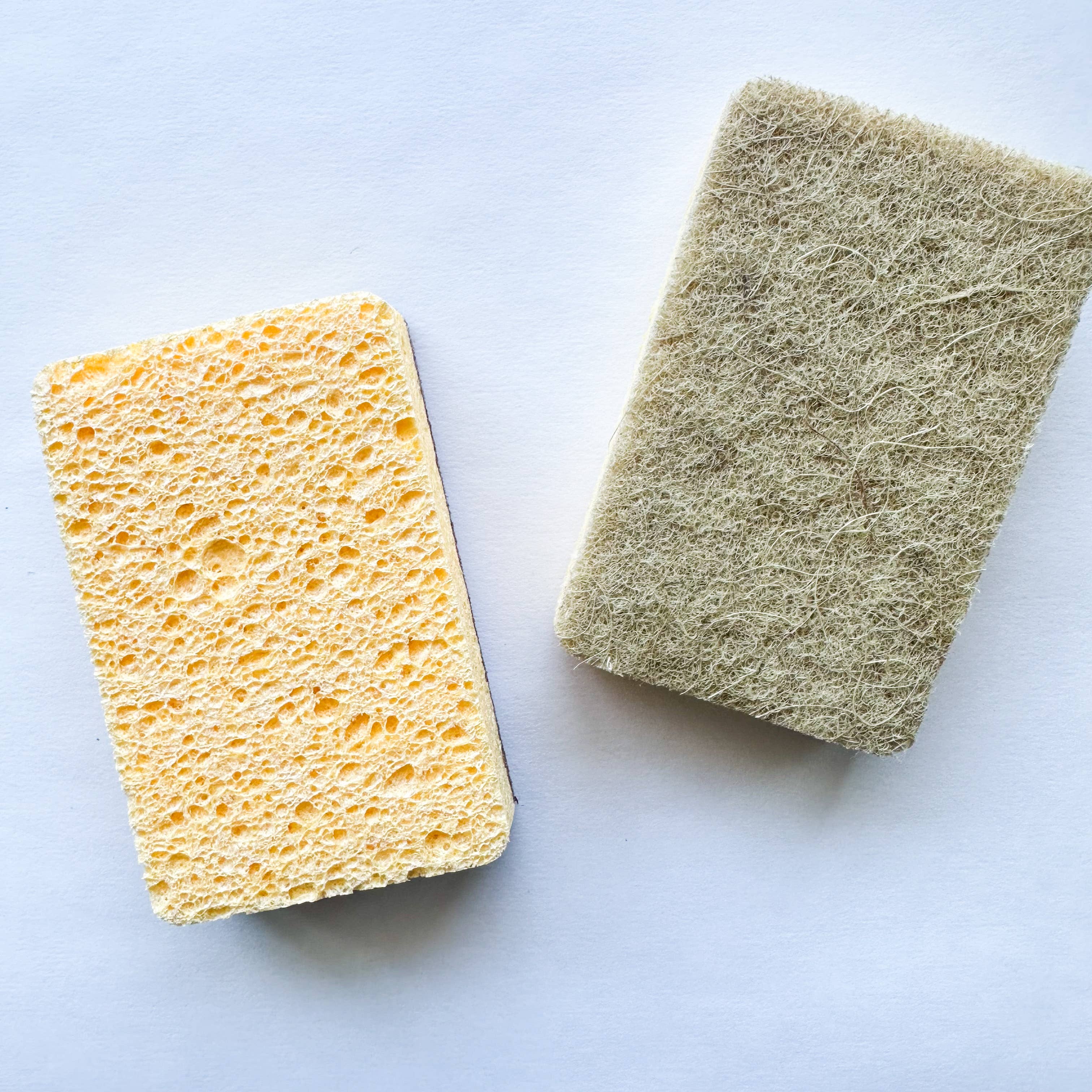 Natural Plastic Free Coconut Husk / Sisal & Cellulose Sponge