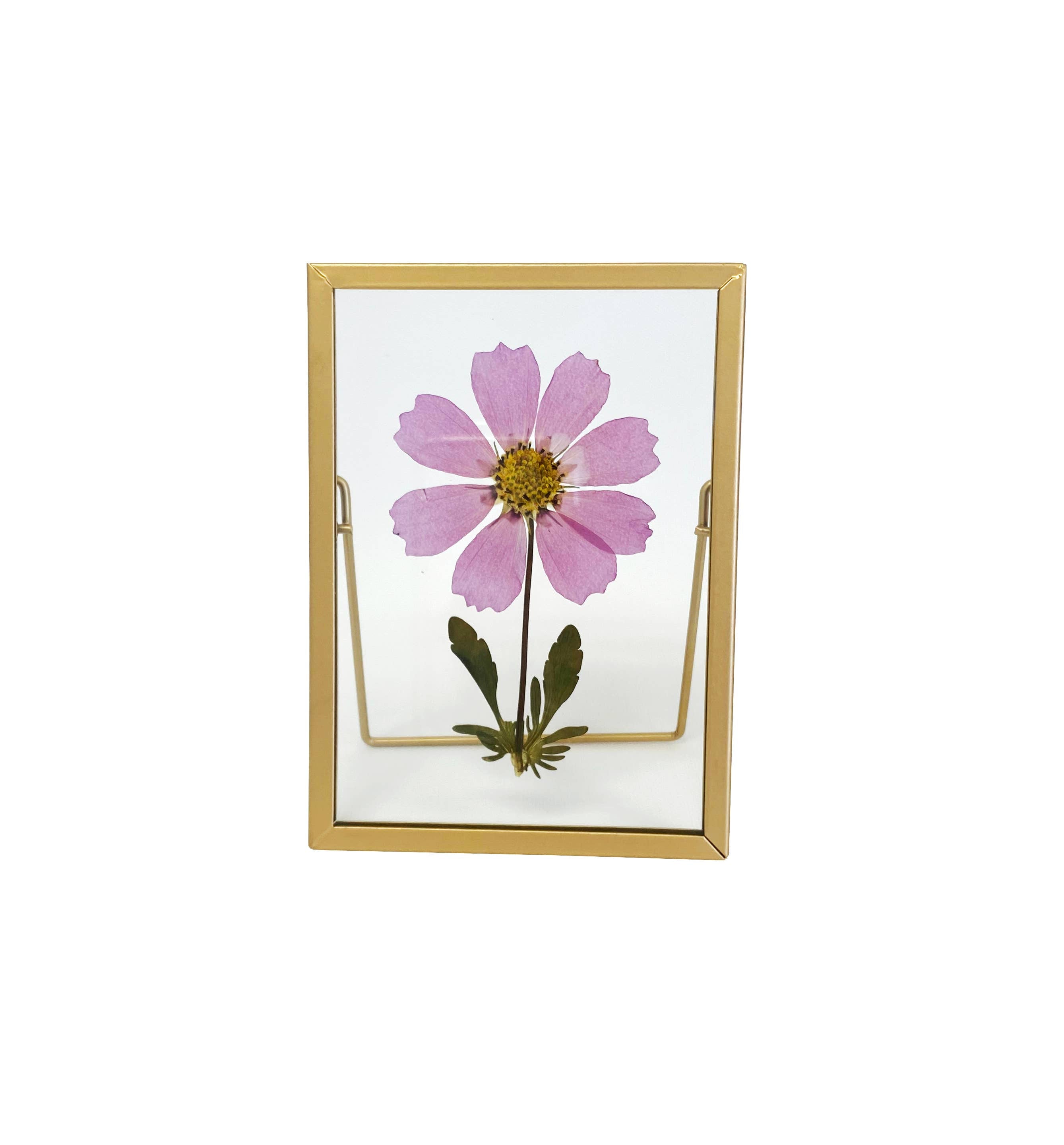 Real Pressed Flower Frame - Beautiful Flower Art