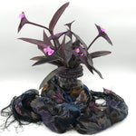 Load image into Gallery viewer, Purple Heart Wandering Jew Rooted Plant Clippings
