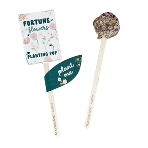 Fortune Flowers Garden + Gift Seed Planting Pop