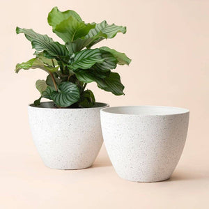Tuileries Speckled White Pot - 11.3 Inch