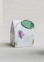 Load image into Gallery viewer, The Cottage Greenhouse Japanese Plum + White Tea Fine Salt Scrub
